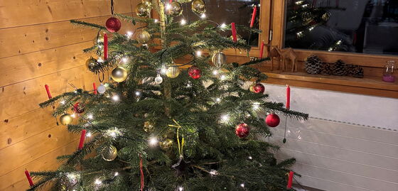 Ein geschmückter Weihnachtsbaum mit Lichtern, Kugeln und Kerzen steht in einem gemütlichen Raum vor einem Fenster.