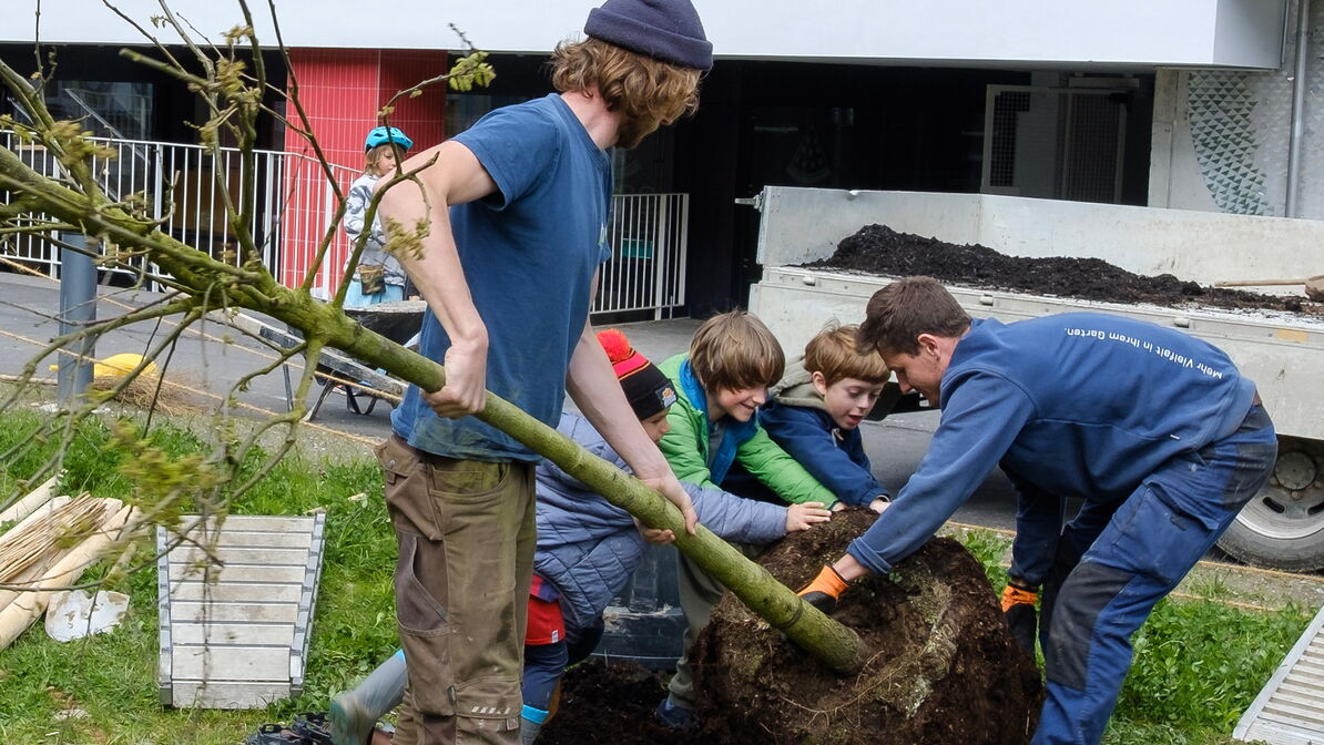 Plusieurs enfants et deux adultes plantent ensemble un arbre devant un bâtiment; ils tiennent le tronc et placent la motte dans un trou.