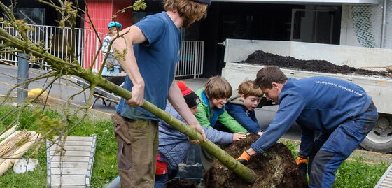 Mehrere Kinder und zwei Erwachsene pflanzen gemeinsam einen Baum vor einem Wohngebäude; sie halten den Stamm und setzen den Wurzelballen in eine Grube.